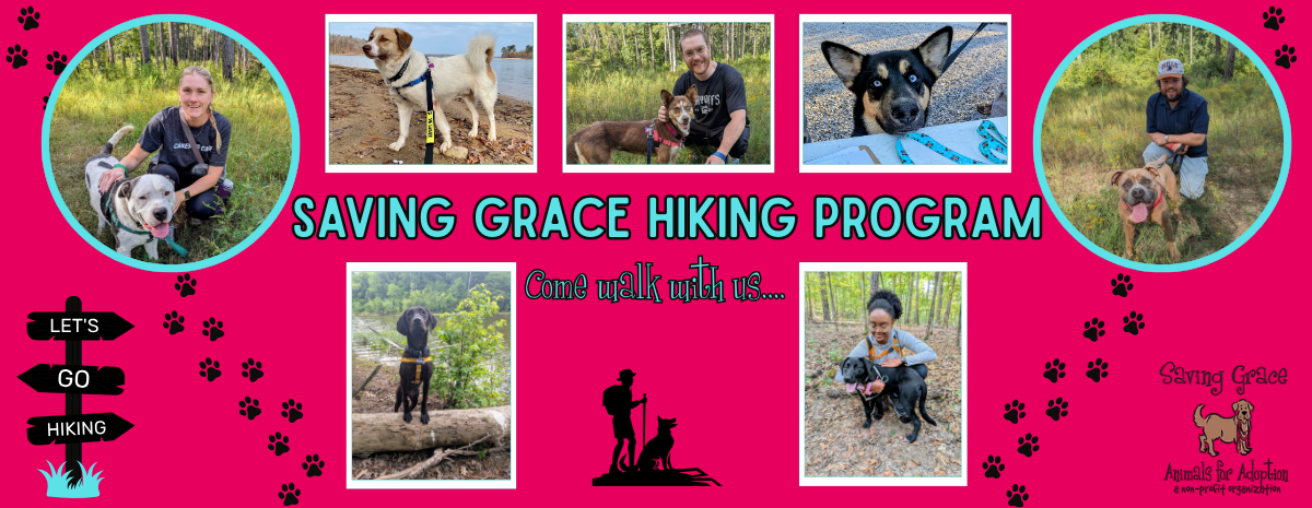 Spring Hiking with Saving Grace 2026